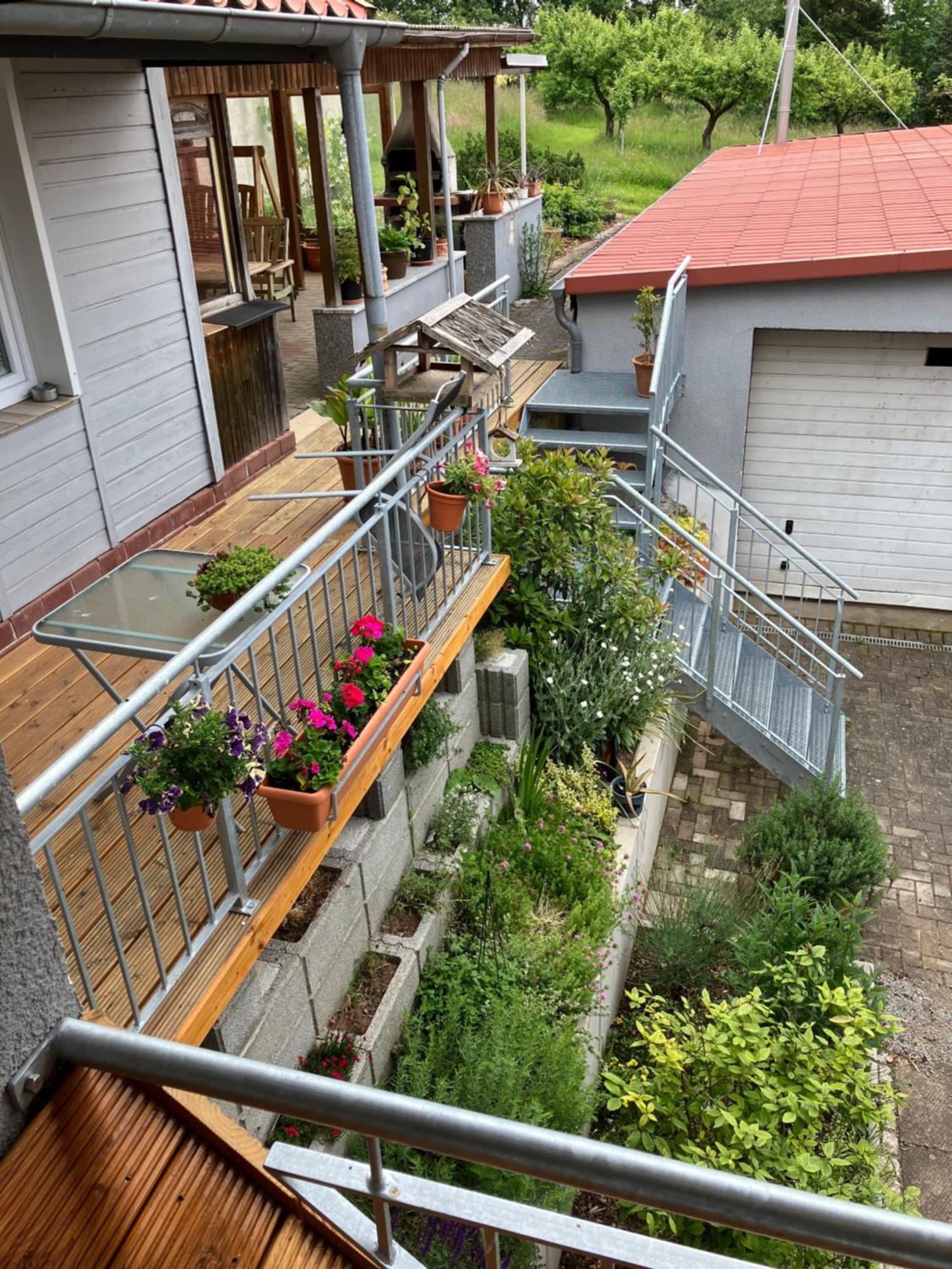 Single Appartment Pension Volgenandt Breitenbach Exterior foto